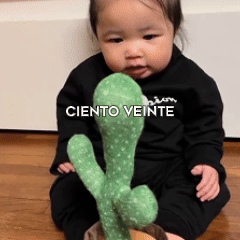 CACTUS BAILARÍN IMITA VOZ