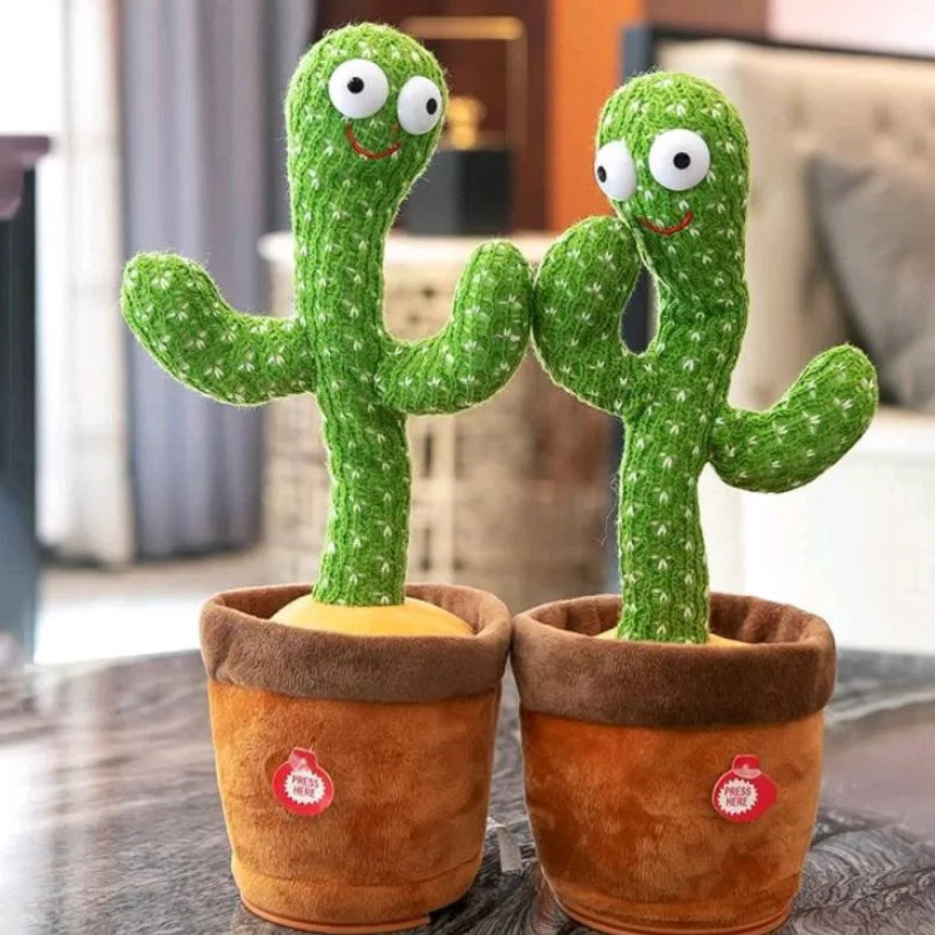 CACTUS BAILARÍN IMITA VOZ