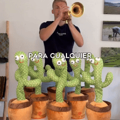 CACTUS BAILARÍN IMITA VOZ